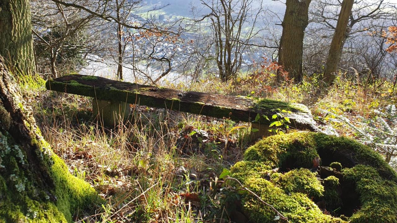 Ferienwohnung Mosea Zeltingen-Rachtig Exterior foto